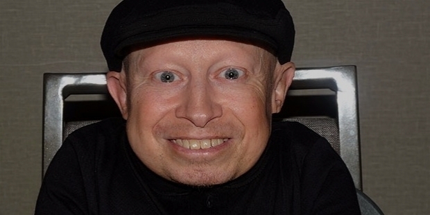 VERNE TROYER