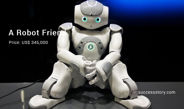 a robot friend