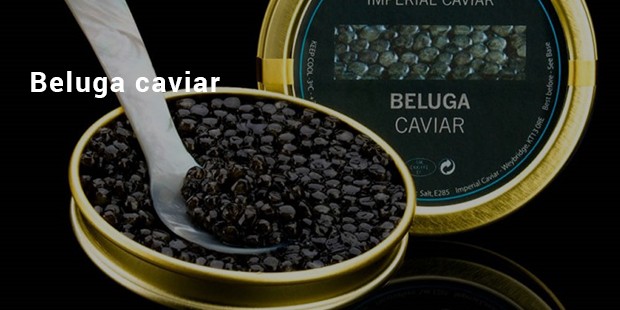 beluga caviar