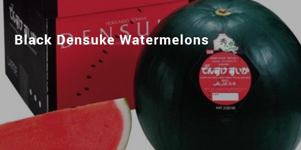 black densuke watermelons