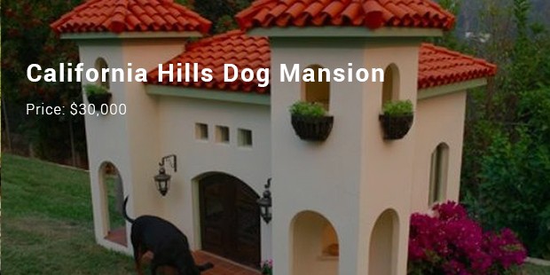 World's most expensive cheap dog house