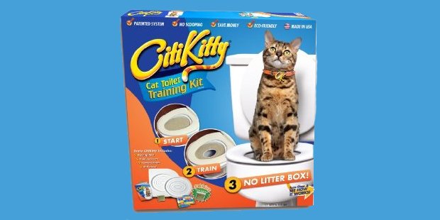 citikitty