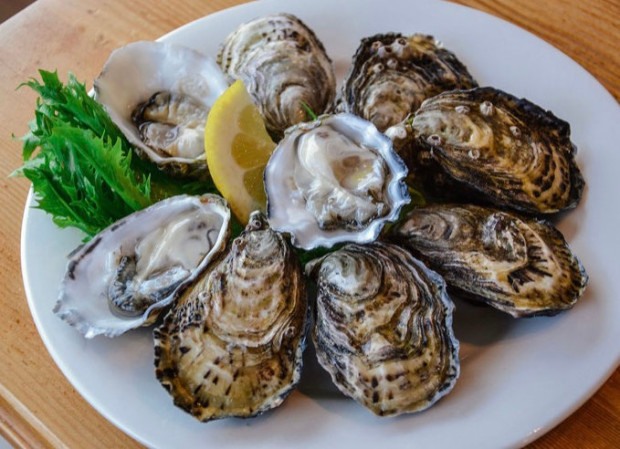 coffin bay king oysters