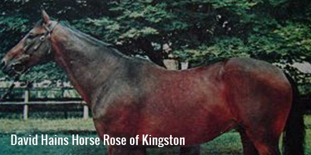 david hans rose of kingston