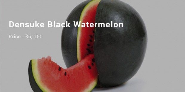 densuke black watermelon