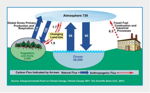 global warming greatest scam ever