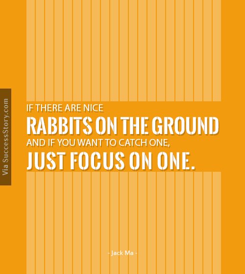 If there are nice rabbits