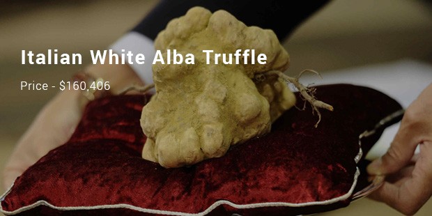 italian white alba truffle