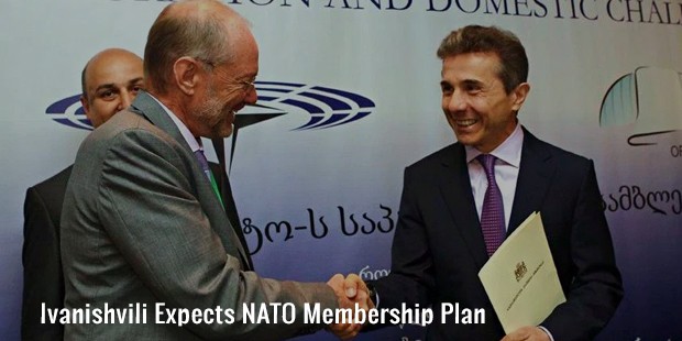 ivanishvili expects nato membership plan