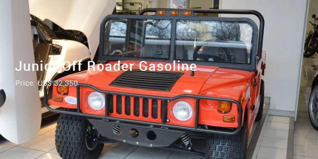 junior off roader gasoline