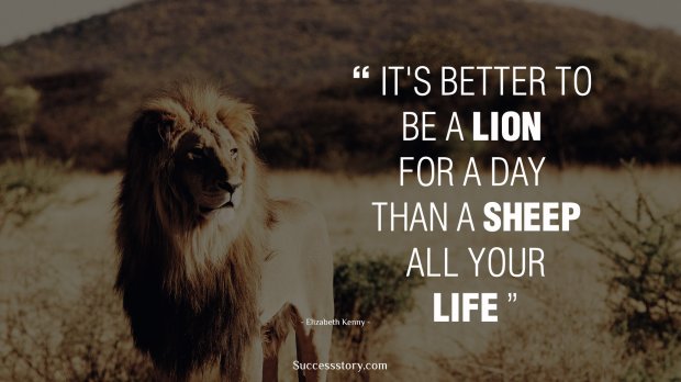 It's better to be a lion