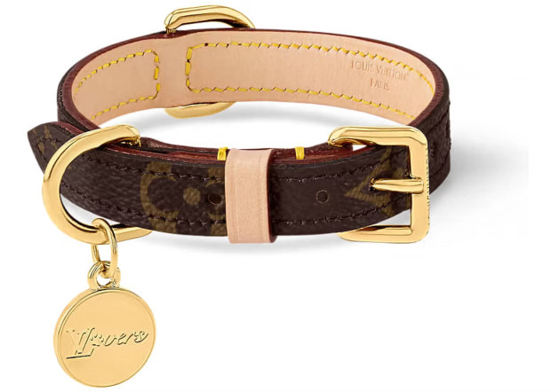 louis vuitton collar xs monogram