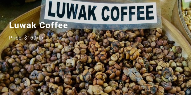 luwak coffee