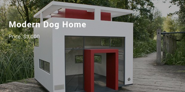 modern dog home