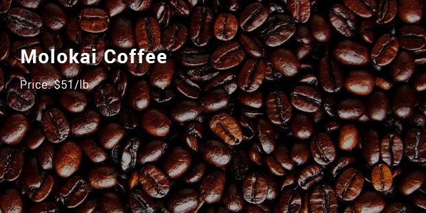 molokai coffee