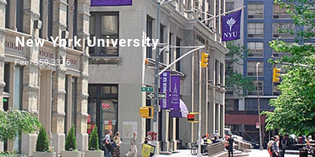 new york university