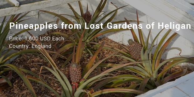 pineapples from lost gardens of heligan