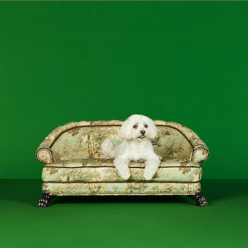 radura pet bed by gucci 1