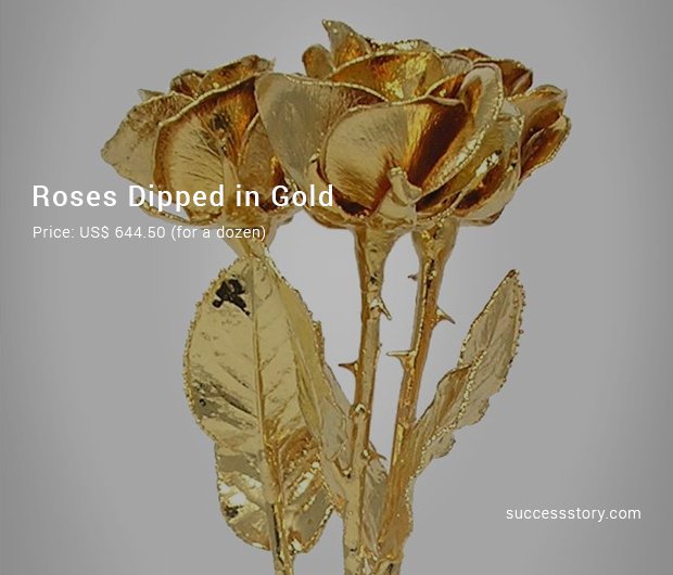 roses dipped in gold