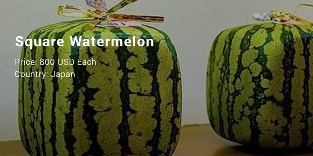 square watermelon