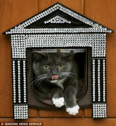 swarovski studded cat flap