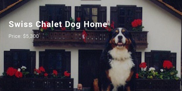 swiss chalet dog home