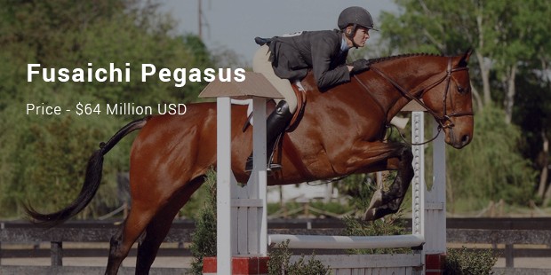 the fusaichi pegasus