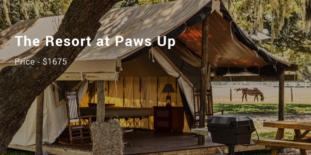 the resort at paws up