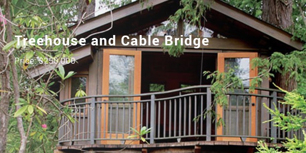 Treehouse and Cable Bridge