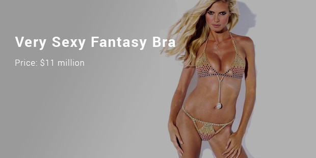 very sexy fantasy bra