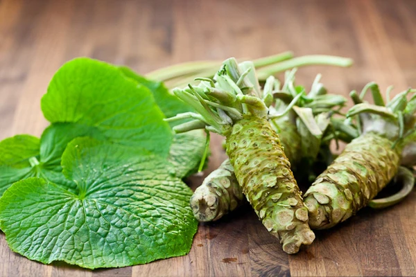 wasabi root