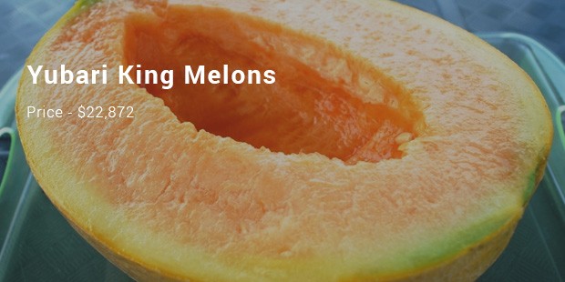 yubari king melons