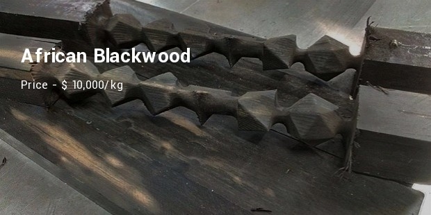 african blackwood