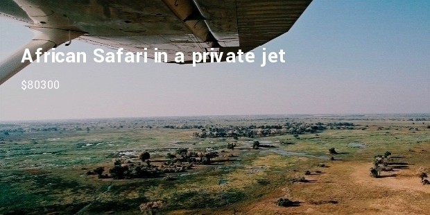 african safari in a private jet