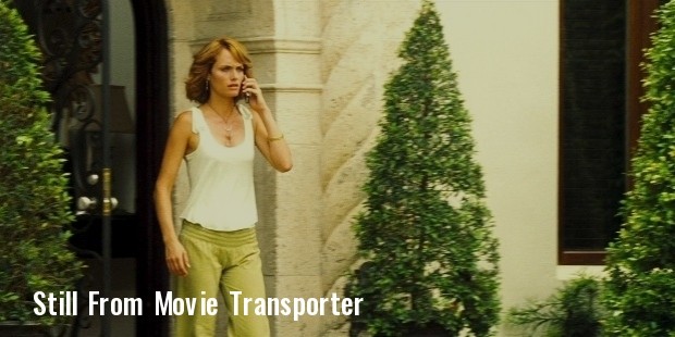 amber valletta in transporter