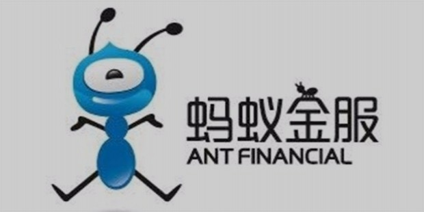 ant