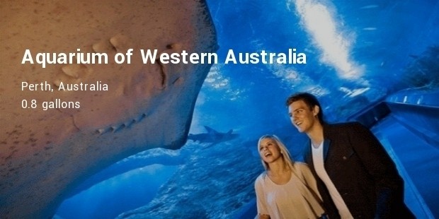 aquarium of western australia  perth, australia
