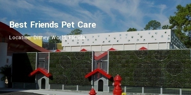 best friends pet resort disney