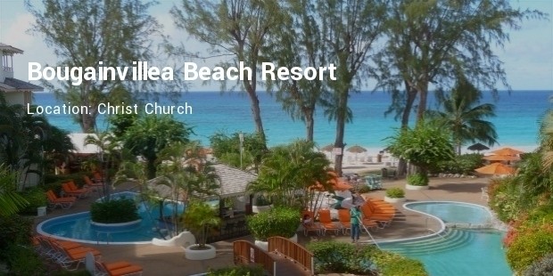 bougainvillea beach resort