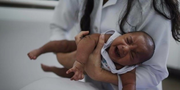 brazil faces new health epidemic as mosquito borne zika virus spreads rapidly