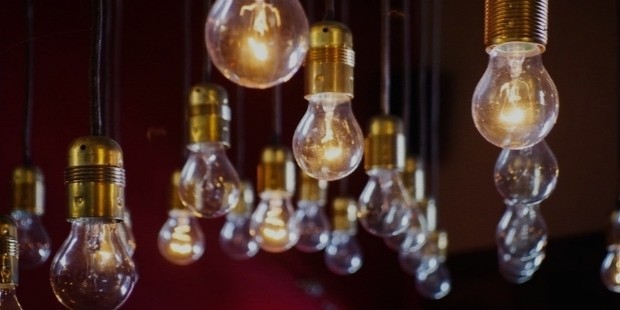 bulbs