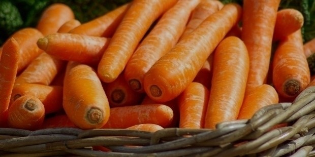 carrots 673184