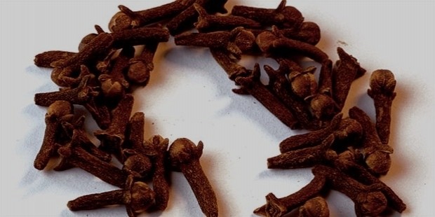 cloves