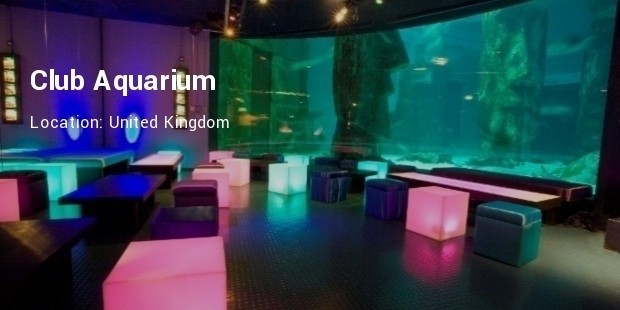 club aquarium