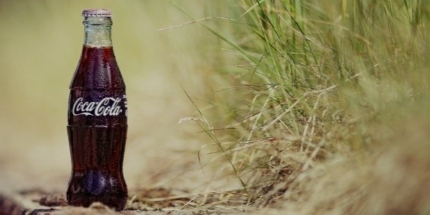 the coca cola company