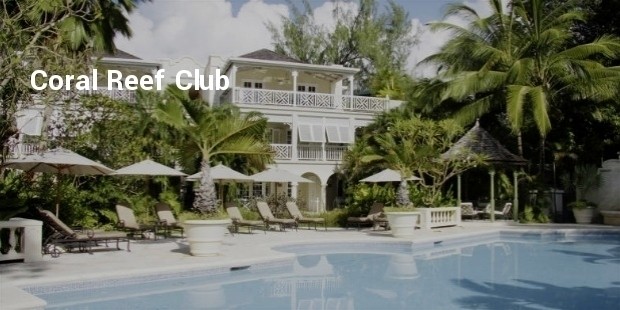 coral reef club