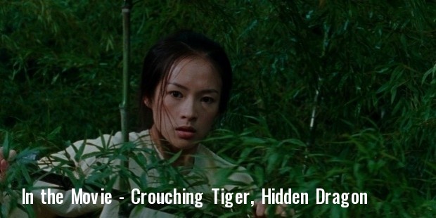 crouching tiger, hidden dragon