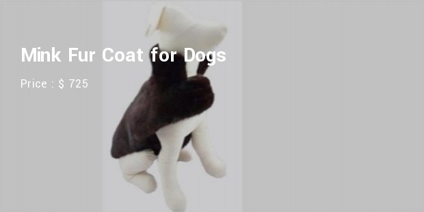 dog fur coat