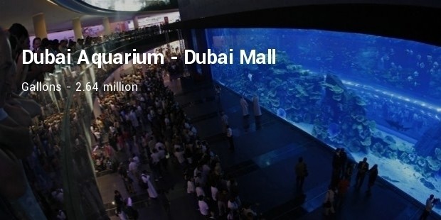 dubai aquarium at the dubai mall