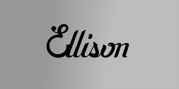 ellison startup story